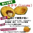 画像2: ルクマパウダー 100% 150g ペルー産 (2)